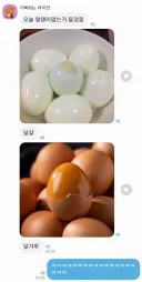달걀.jpg