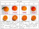 국산 품종으로 오해받는 외국 품종 과일 원탑