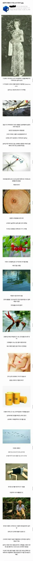 생존력 만렙 17세 소녀.jpg