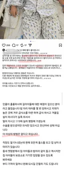 70대 캣맘이 높은곳에 고양이집 설치하다 떨어져 전신마비