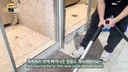시바견 털빠짐 체감