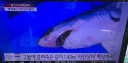 경주 사는 유게이들 니네 ㅈ됐다며?