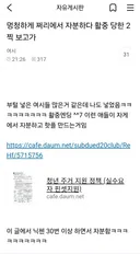 멍청하게 쩌리에서 자아분열하다 활중당한 2찍 여시 근황