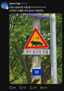 새끼 낳으러 이동
