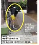 수원 좀비 근황