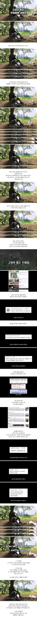 약스 새덕후 나는 고양이 혐오 안 한다