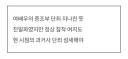 친일 단죄가 너무 지나치다는 중앙일보 기자