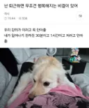 퇴근하면 무조건 행복해지는 비결