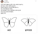 표본과 실제 모습의 차이를 알아보자