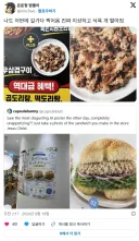 ai로 대충 만든 음식 포스터가 너무 싫다는 세계 사람들.jpg