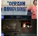 집안에 호랑이가 있는거 같아서 신고 했는데