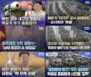 열병식에 대한 상반된 반응을 보이는 방송국