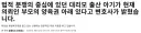 미국 '아기 가브리엘' 의뢰인 부부가 양육 중