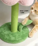 다이소 신상 고양이 스크래처
