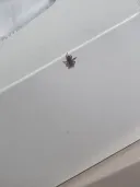 이거 뭐냐