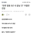 ''한류 열풍 5년 내 끝날 것... 우울한 전망''