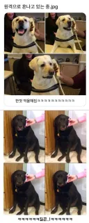 집에가면 혼날줄 알아!!!