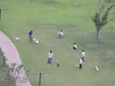 요즘 공원 근황