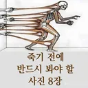 죽기전에 반드시 봐야할 사진 8장