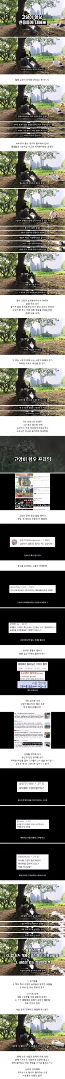 새덕후, "나는 고양이 혐오 안 한다"