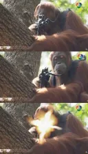 잘생긴 새끼들만 나와라