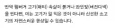 햄버거 색 버건디의 진실