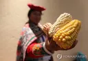 석유, 강철과 함께 현대 문명의 필수 자원