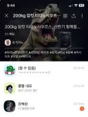 진짜 암컷이라면 상관없이 달려는 남자들