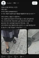 베스트 갔던 스레드 캣맘징벌자 결국 항복 받아냄