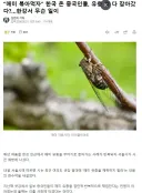 “매미 볶아먹자” 한국 온 중국인들, 유충 싹 다 잡 아갔다?…한강서 무슨 일이
