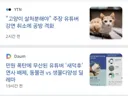 길고양이 보호 민원에 새덕후 유튜버 강연 취소.jpg