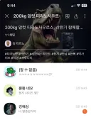 200kg 암컷 티라노 만남구함.jpg