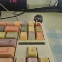 젠레스) 반올림 콜라보 후기