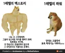 와우 하드코어로 보는 판타지 세계에서 모험가 하기 힘든 이유