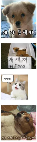 안만스 페북 댓글