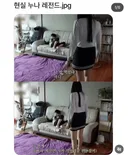 현실 누나 레전드