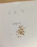 고소장 왔네