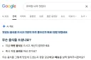 구글 검색하면 나오는 AI개요 애미나이지?
