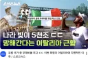 국가별 빚 규모
