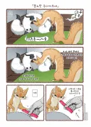 번역)대롱여우의 분노.manhwa