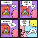 밖으로 좀 나와...나랑 놀자...ㅜ