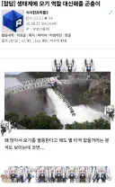 의외로 모기 역할을 대신 해줄 곤충
