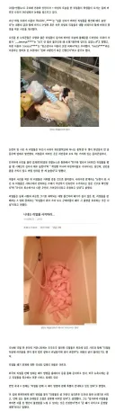 아무리 외로워도 리얼돌은 꿈도 못꾸는 이유