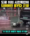 중국 전기차 근황