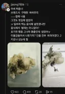 이물질 나온 떡집 대응 수준