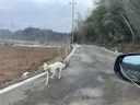 하 오늘 출근 어카지