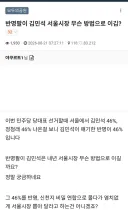 반명팔이 김민석 서울시장 무슨 방법으로 이김?
