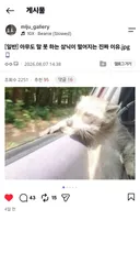 아무도 말 못 하는 주식이 떨어진 진짜 이유