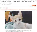 캣맘 논란 죵결.factos