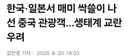 한국일본서 매미 싹쓸이한 중국 관광객.jpg